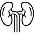 for Kidneys