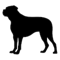 Large Breeds