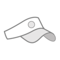Visors