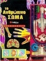 Το ανθρώπινο σώμα