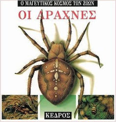 Οι αράχνες