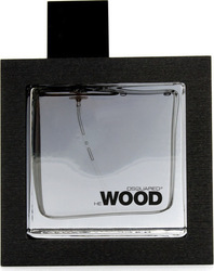 Dsquared2 He Wood Silver Wind Eau de Toilette 100ml