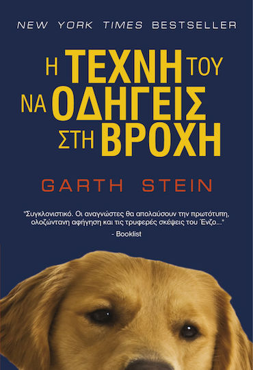 Η τέχνη του να οδηγείς στη βροχή