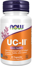 Now Foods UCII Undernatured Type II Collagen 60 κάψουλες