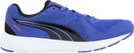 Puma Descendant V2 187310-10