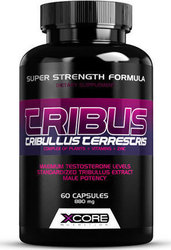 XCore Tribus 60tabs