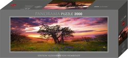 Humboldt Panorama: Bελανιδιά 2000pcs Heye