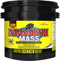 InterActive Nutrition Mammoth Mass 4530gr Σοκολάτα
