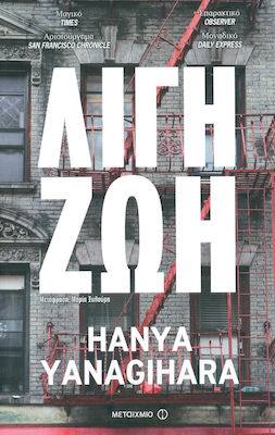 Λίγη ζωή (e-book)
