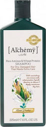 A'kin Al'chemy Rice Aminos & Wheat Protein Shampoo 225ml