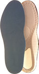 Pedag Fitness 272