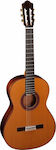 Almansa 434 Classic Conservatory Open Pore
