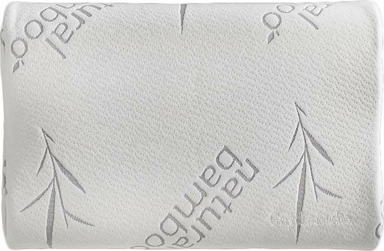 Guy Laroche Visco Elastic Aloe Vera Memory Foam Ανατομικό 40x60x12cm