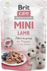 Brit Care 85gr