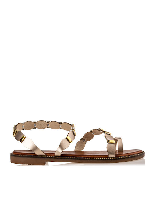 Envie Shoes