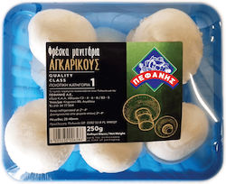 Μανιτάρια Φρέσκα Εισαγωγής 250gr