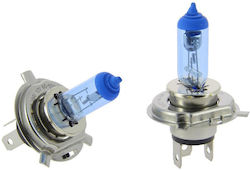 Michelin Xenon Blue Light Λάμπες H4 Xenon Μπλε 2τμχ