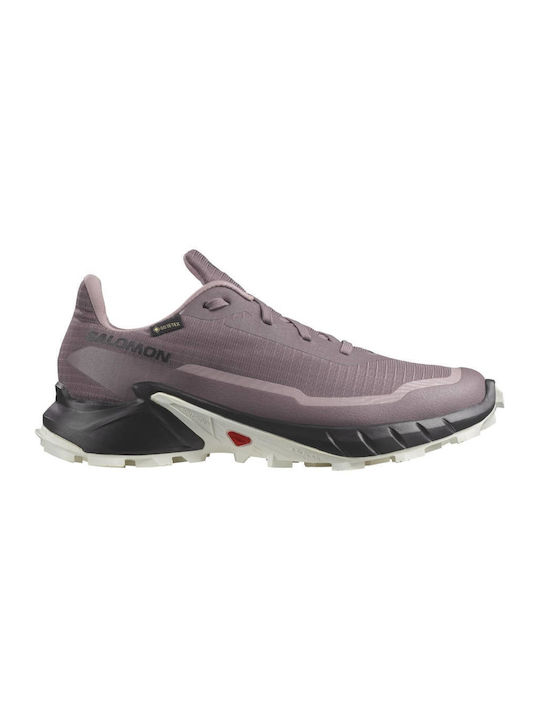 Salomon