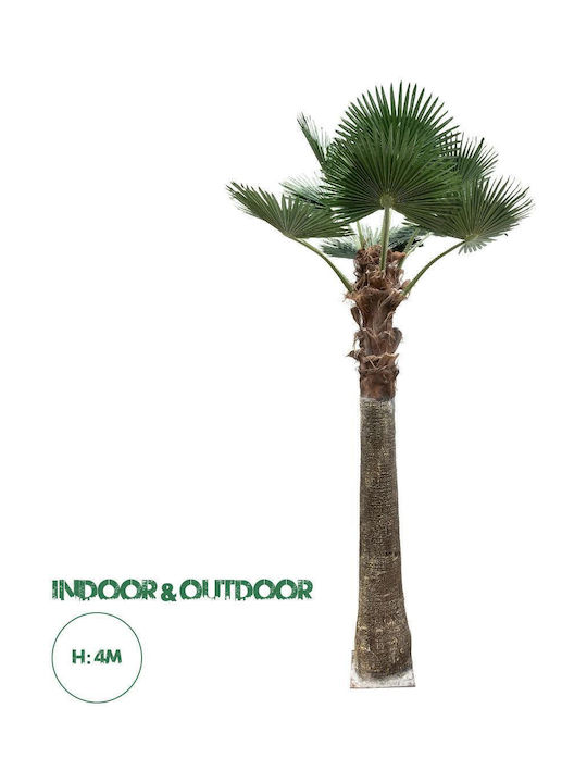 Globostar Artificial Garden Plant Palm Tree 21055 Διακοσμητικό Δέντρο Φοίνικα Φ240 X Υ400cm