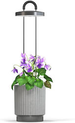 Click Grow Hydrovase Grey Home Kitchen