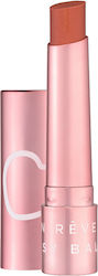 Mon Reve Glossy Balm Lip Balm 102 Snuggle 2gr