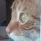 sms1704