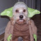 TheElf