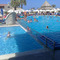dimitris_goutas