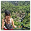 Nikol_Zer
