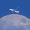 greek_travel