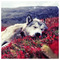 Daphne_Benetou