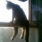 Paschalis_D_