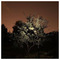 Antonis_Venianakis