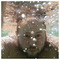 Giorgos_Sidiras