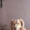 alexia_lampropoulou