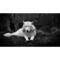 sotiris_tsouleas
