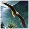 kevork511