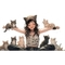 Jenny_al