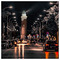 gregori_verm
