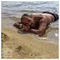 Kostas_Katertzis