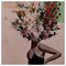 Evita_Tat