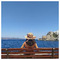 Ann__Anna