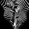 Dimitra_Xarou