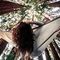 themelina_moussa
