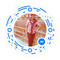 Kostas_Marinellis