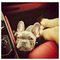Andr_C