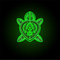 Tortugaz