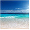 Giorgos_Skondras