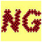 ngsoft
