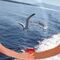 kostaslal77_hotmail_com
